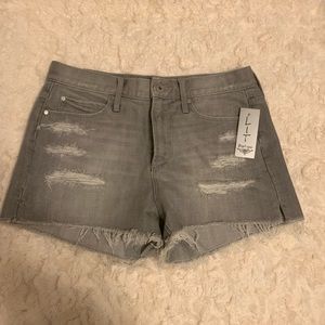 Brand new jean shorts